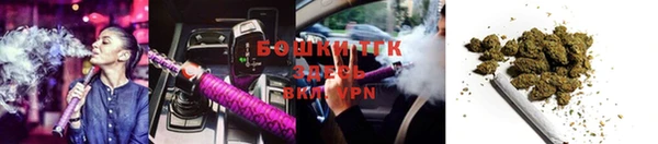 бошки Абаза