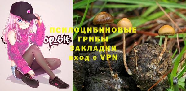 a pvp Алексин